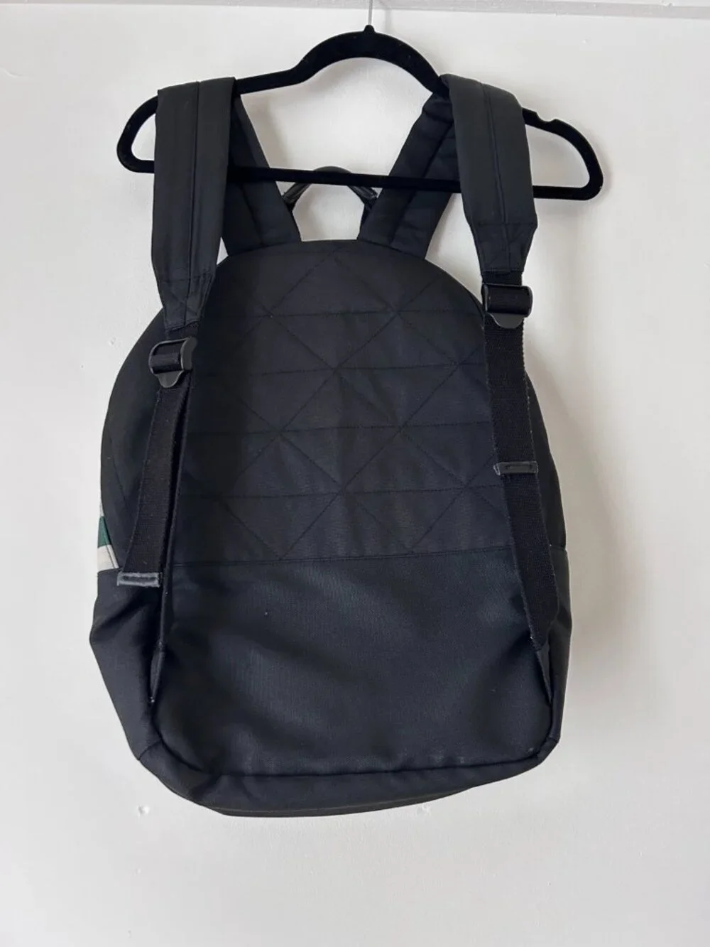 Pendleton black canvas